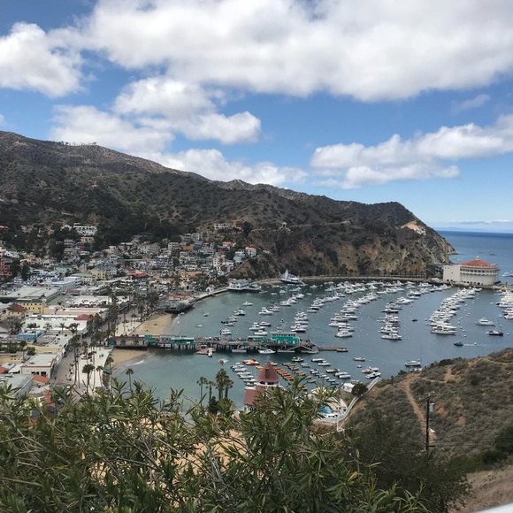 Meet your Posher, Yolie - Picture 5 of 8